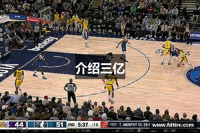 介绍三亿